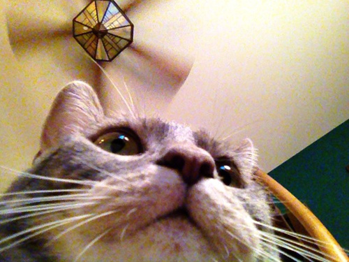 Misty Selfie
